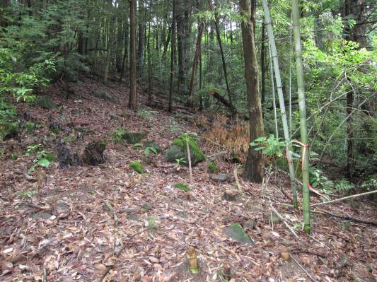 登山道の第一歩