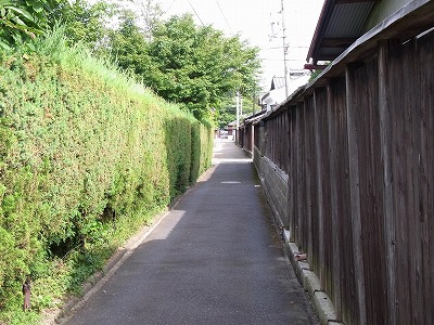 路地