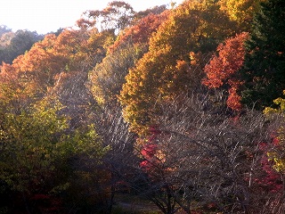 峠