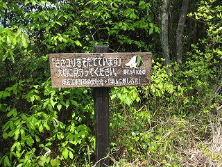 野草の愛好会